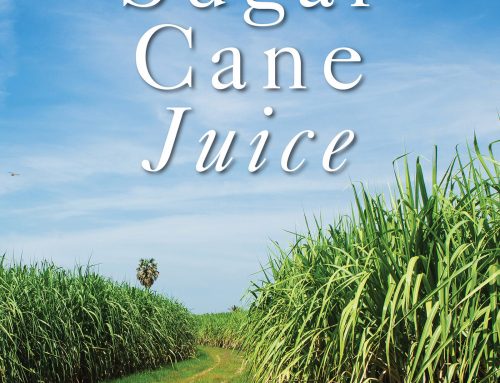 Sugar Cane Juice by Narelle Laidlaw
